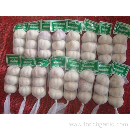 High Quality Standards Normal White Garlic